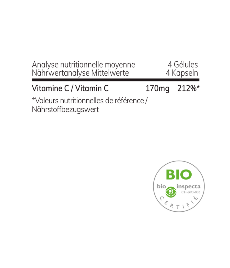 Acérola BIO