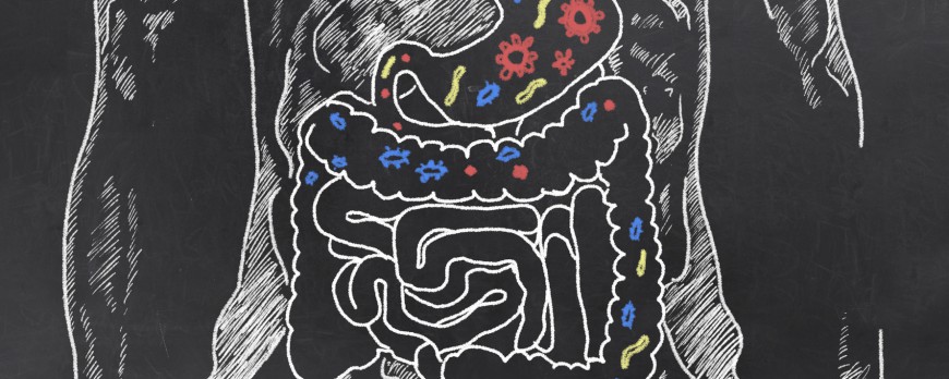 Natural solutions to intestinal problems