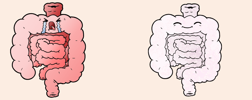 Was sind Prä- und Probiotika?