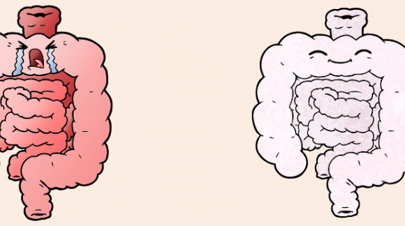 Was sind Prä- und Probiotika?