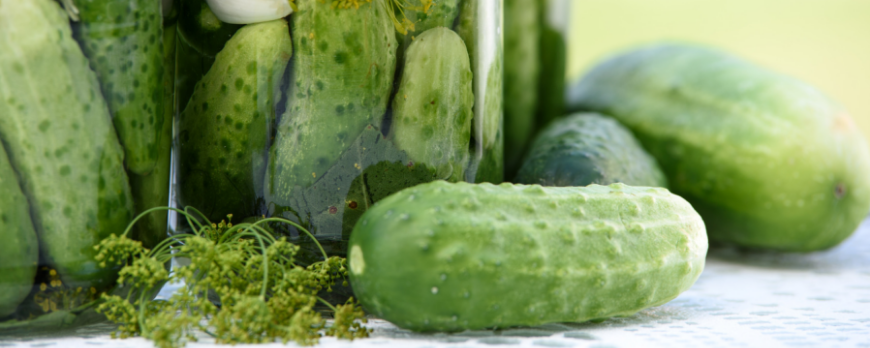 6 gute Gründe, fermentierte Lebensmittel zu essen