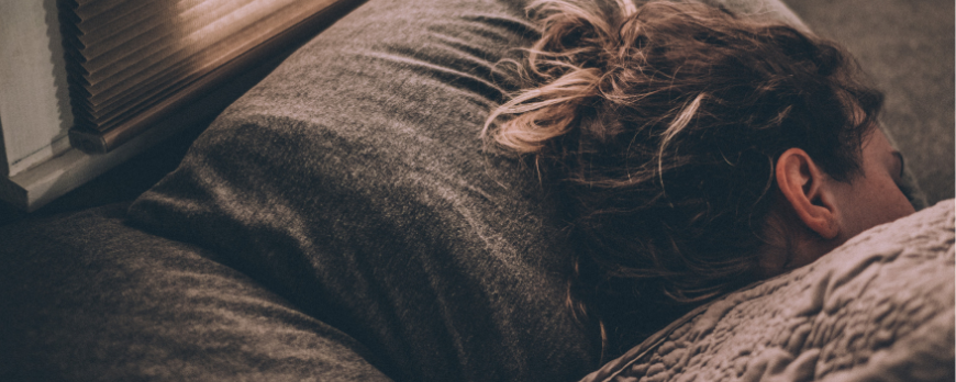 What is the role and function of sleep?