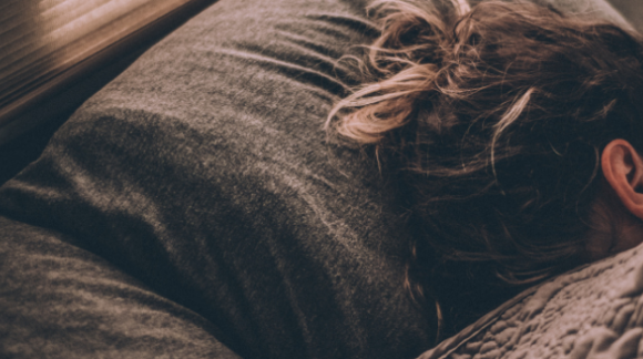 What is the role and function of sleep?