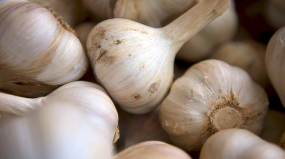 Garlic: a valuable aid to the brain's immune system