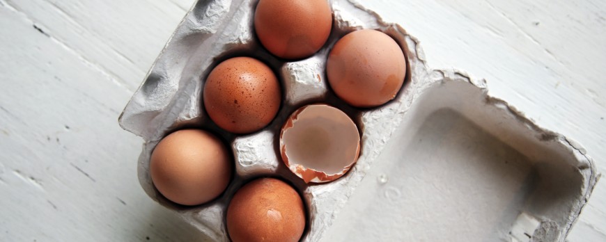 What is the protein content of the food?