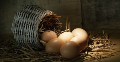 Calories : faut-il vraiment avoir une "tête d'œuf" pour comprendre ?