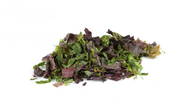 A seaweed salad with exceptional virtues