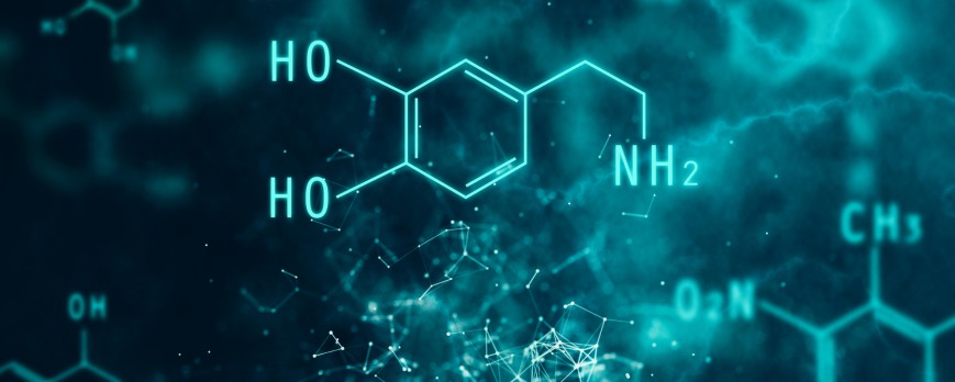 La dopamine, cette amphétamine naturelle