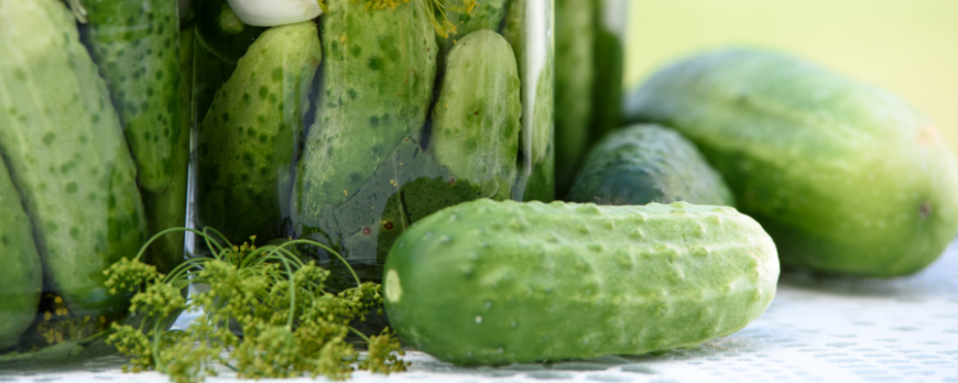 6 good reasons to eat fermented foods